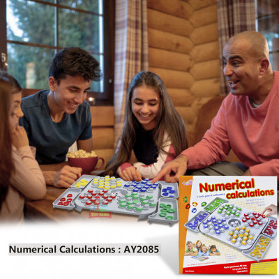Numerical Calculations : AY2085